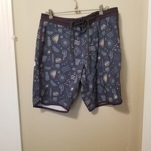 Men's Jetty Mollusk Board Shorts Size 32  Pocket – Surf Swimwear